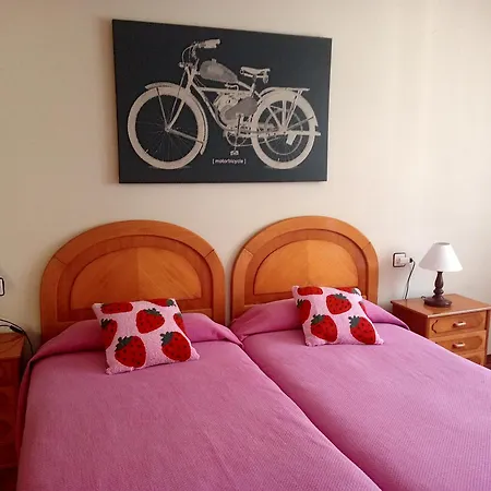 Sella アリオンダス